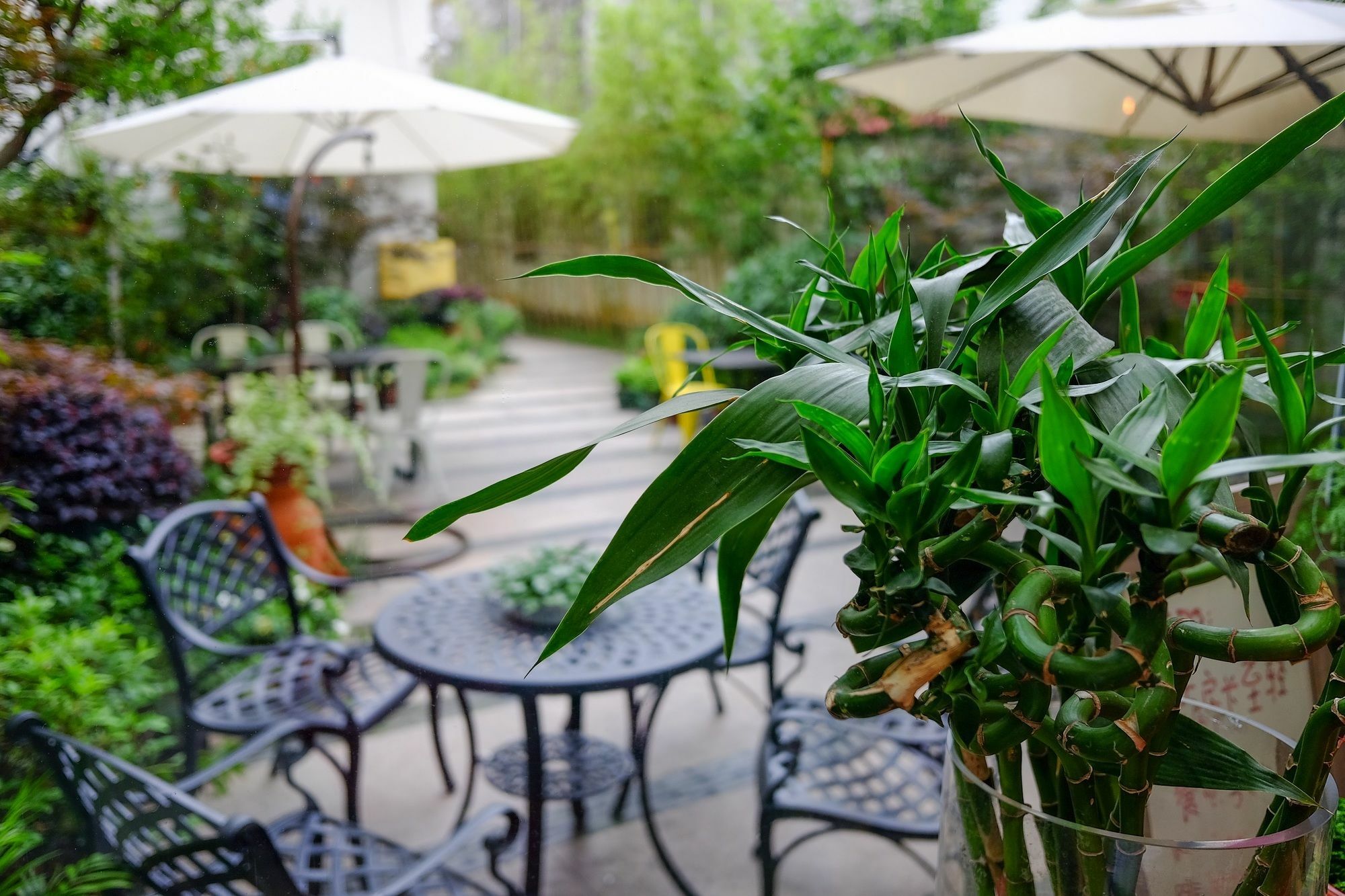 Suzhou Homa Garden Hotel ภายนอก รูปภาพ